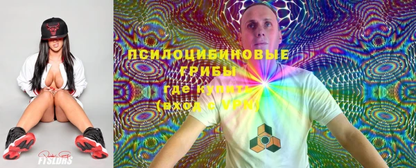 тгк Новозыбков
