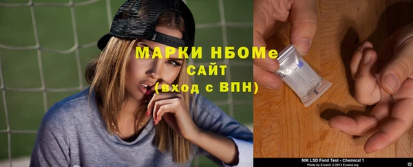 тгк Новозыбков