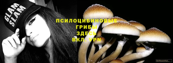 молекула духа Новодвинск