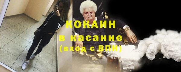 тгк Новозыбков