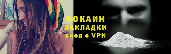 тгк Новозыбков