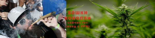 эйфоретик Новокубанск