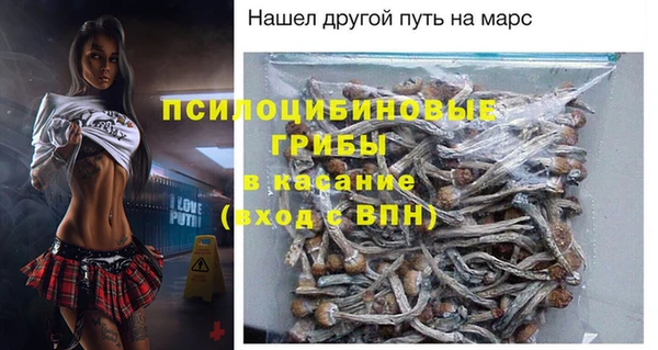 тгк Новозыбков