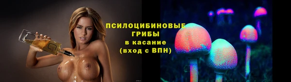 эйфоретик Новокубанск