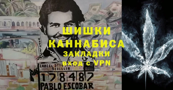 тгк Новозыбков
