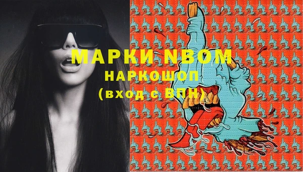 тгк Новозыбков