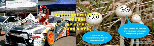 эйфоретик Новокубанск