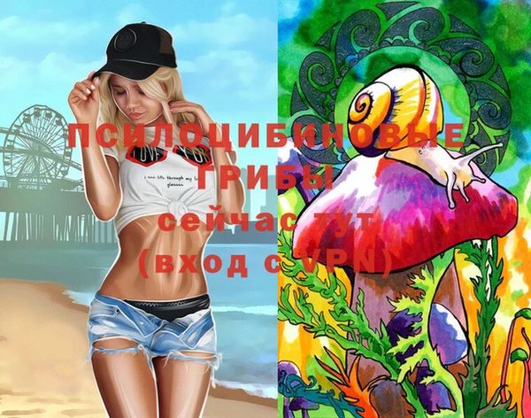 эйфоретик Новокубанск