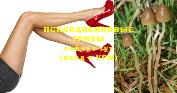 эйфоретик Новокубанск