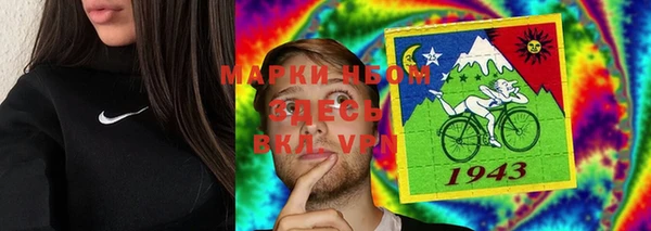 тгк Новозыбков