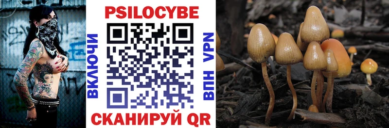 Галлюциногенные грибы Psilocybine cubensis  Кедровый 